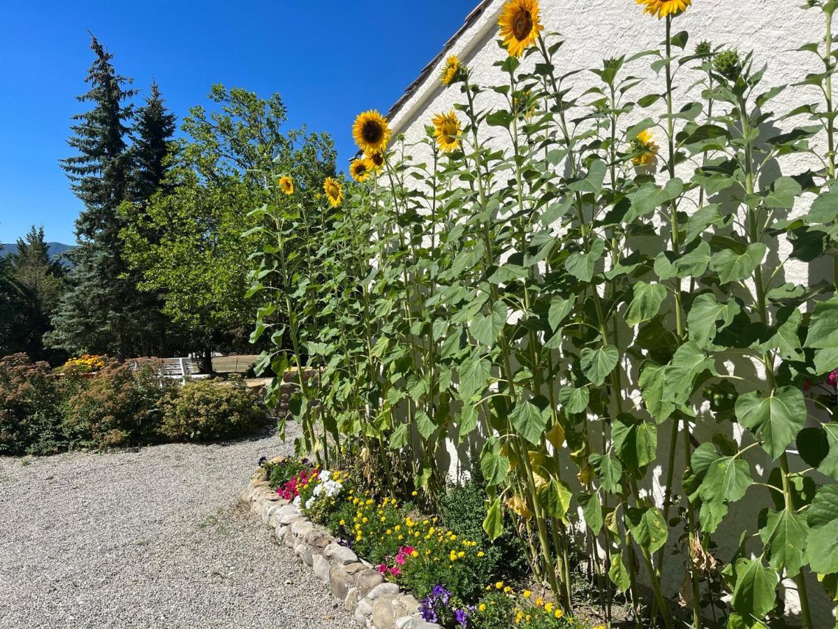 Bed and Breakfast Le Cheval Blanc Сер Экстерьер фото